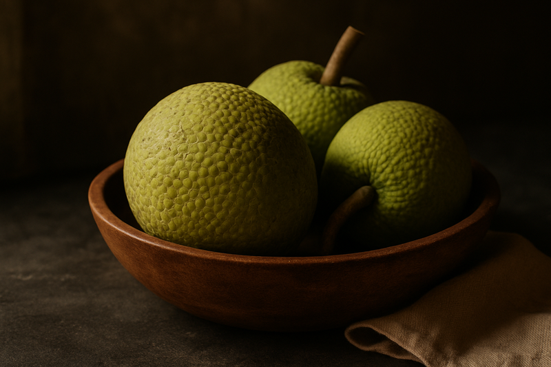 Breadfruit photograph