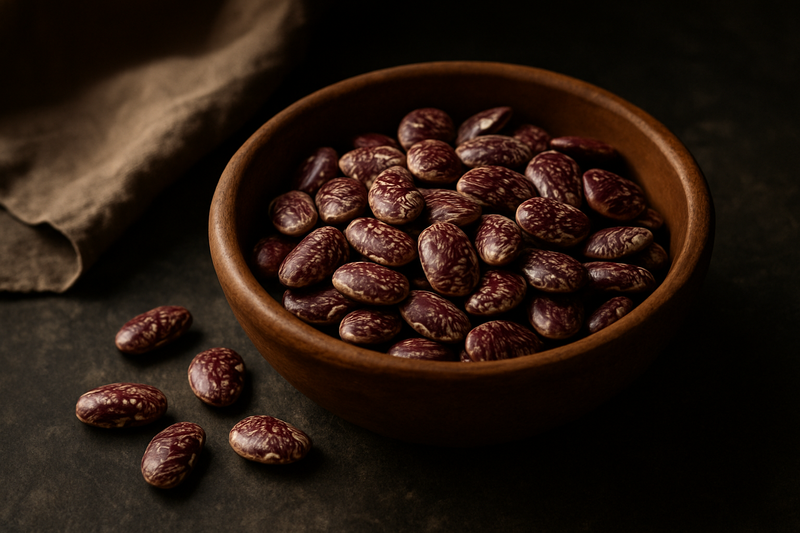 Christmas Lima Beans photograph