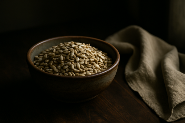 Raw Sunflower Kernels photograph