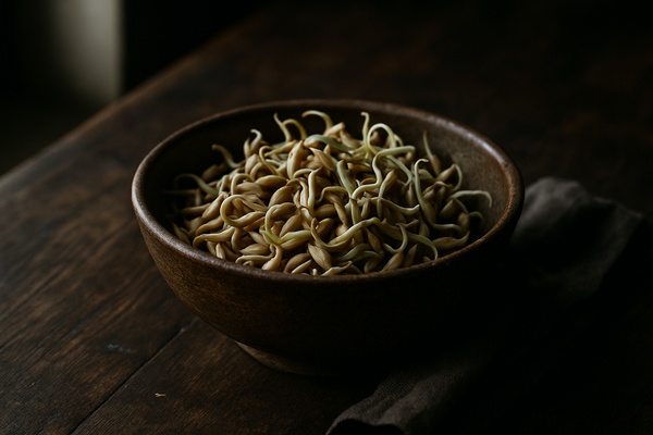 Sprouted Sunflower Seeds photograph