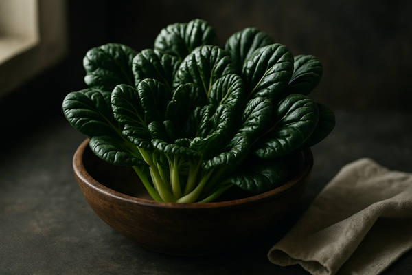 Tatsoi photograph
